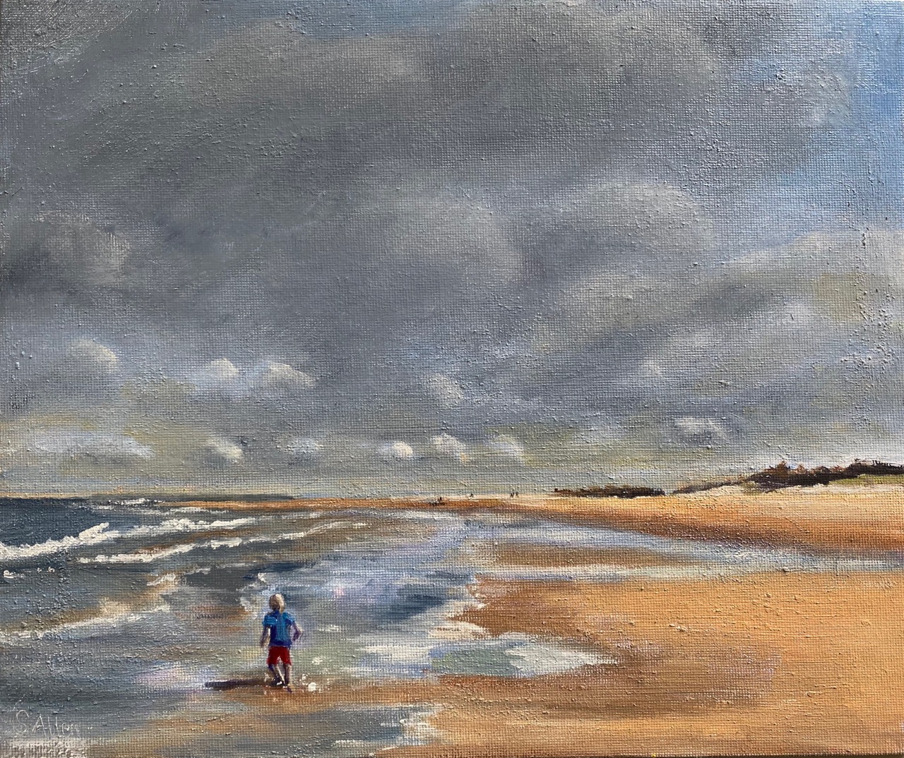 Meet Sarah - Sarah Allen Artist