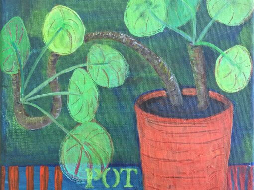 Pot Plant  SOLD