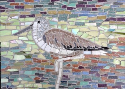 Curlew  SOLD