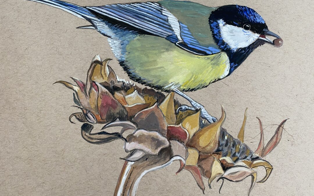 Great tit  SOLD