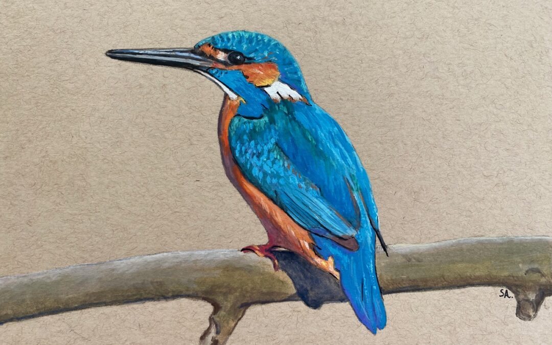 Kingfisher  SOLD