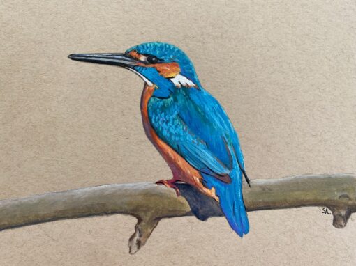 Kingfisher  SOLD