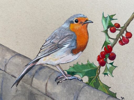 Robin with holly  SOLD