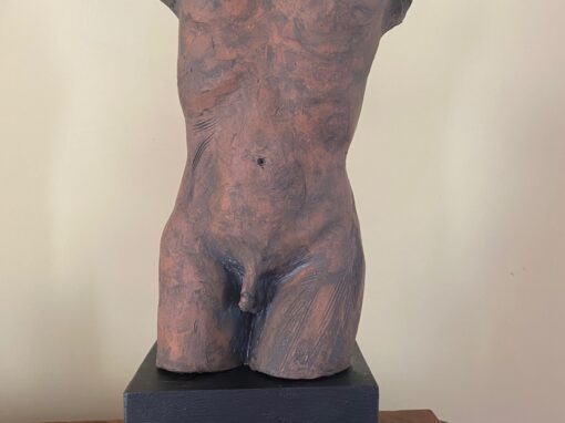 Male terracotta torso #1    SOLD