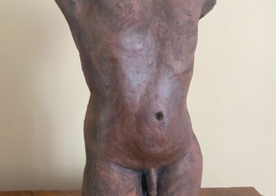 Male terracotta torso #2  NFS