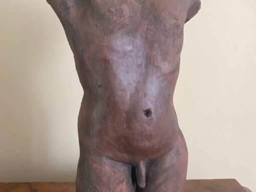 Male terracotta torso #2  NFS