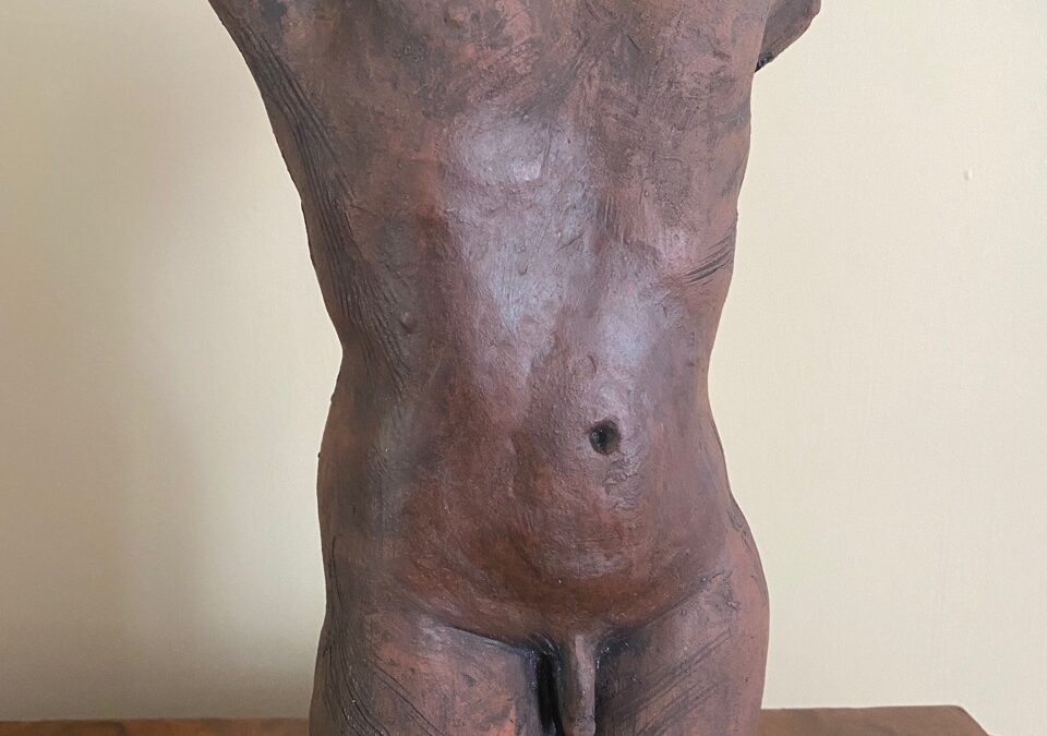 Male terracotta torso #2  NFS