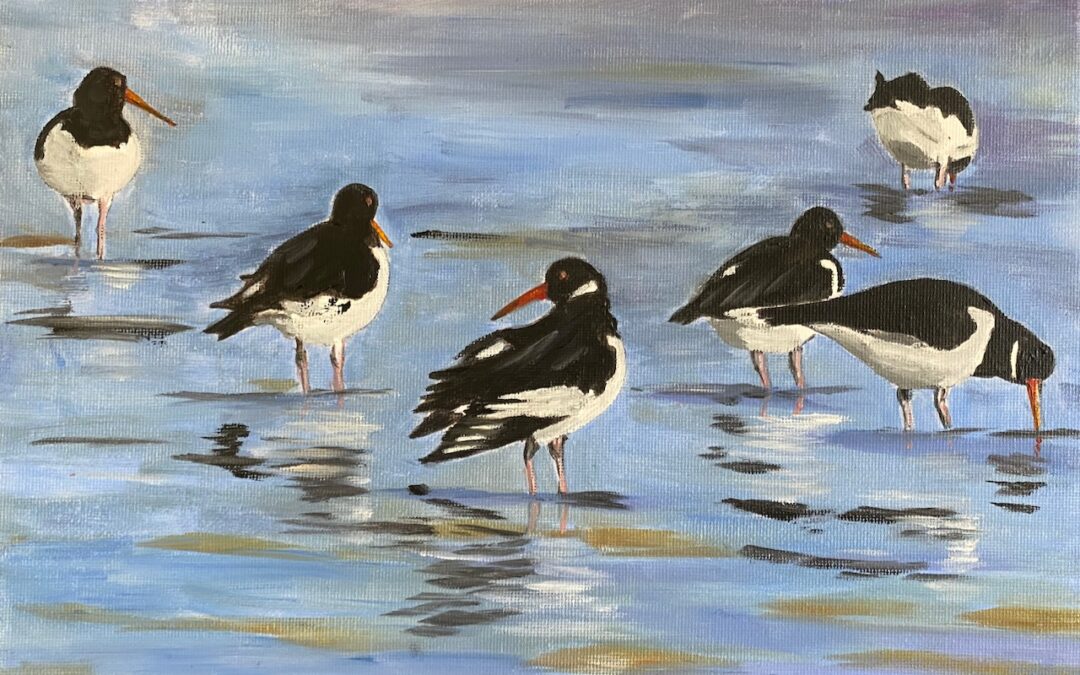 Oystercatchers on the Shore