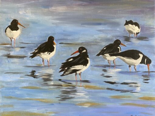 Oystercatchers on the Shore